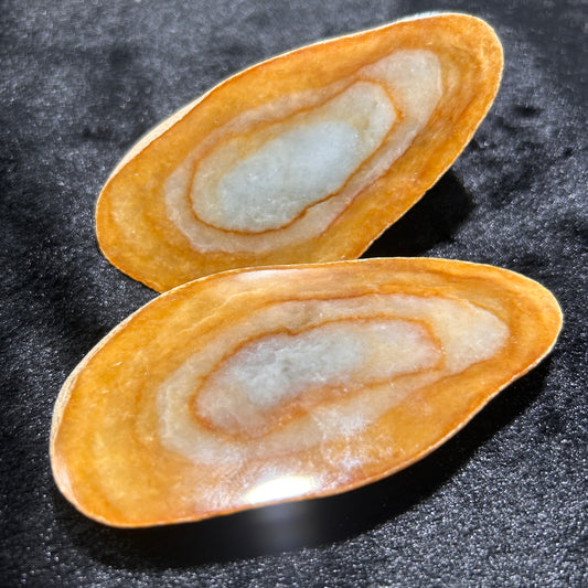 Natural Type A Jadeite | Da Ma Kan Cut Sweet Donut (Odd-Shaped Material) | 406g & 230g | 105×55×45mm & 105×50×12mm