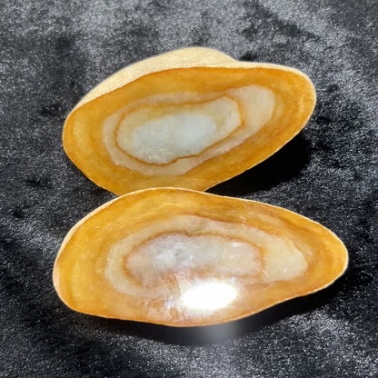 Natural Type A Jadeite | Da Ma Kan Cut Sweet Donut (Odd-Shaped Material) | 406g & 230g | 105×55×45mm & 105×50×12mm