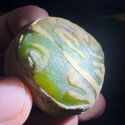 Natural Type A Jadeite | Yellow-Green Da Ma Kan Windowed Material | 117g | 43×41×34mm